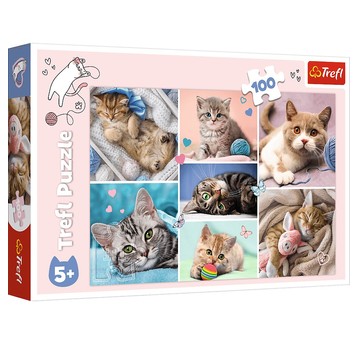 PUZZLE 100 W KOCIM ŚWIECIE 16420
