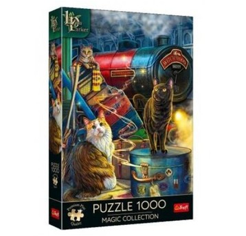 PUZZLE 1000 MAGIC COLLECTI EKSPRES CZAROWNIC 10897