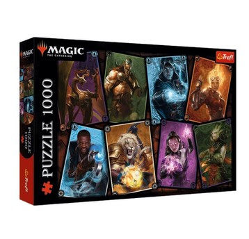 PUZZLE 1000 MAGICZNE SPOTKANIE 10765