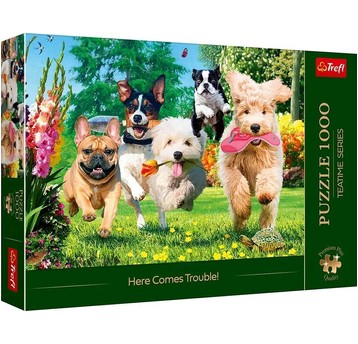 PUZZLE 1000 PREMIUM NADCHODZĄ KŁOPOTY 10800