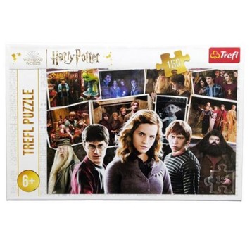 PUZZLE 160 HARRY POTTER I PRZYJACIELE 15418