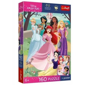 PUZZLE 160 PREMIUM CZARUJACE PRZYJĘCIE 15438