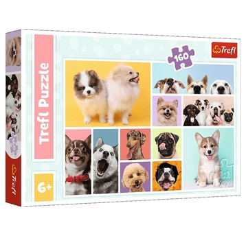PUZZLE 160 PSIA PRZYJAŹŃ 15412