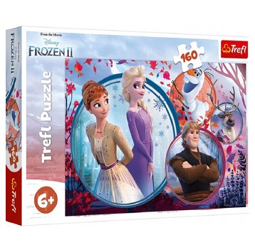 PUZZLE 160 SIOSTRZANA PRZYGODA FROZEN 2 15374