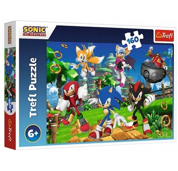 PUZZLE 160 SONIC I PRZYJACIELE 15421