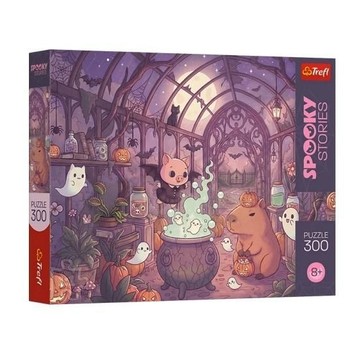 PUZZLE 300 MAGIA NOCY 23060