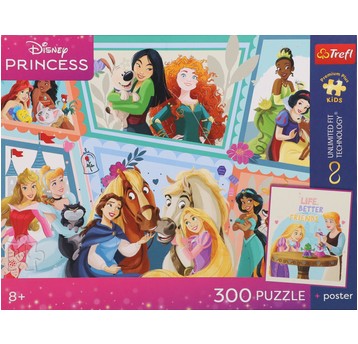PUZZLE 300 PREMIUM CUDOWNY BAL 23049