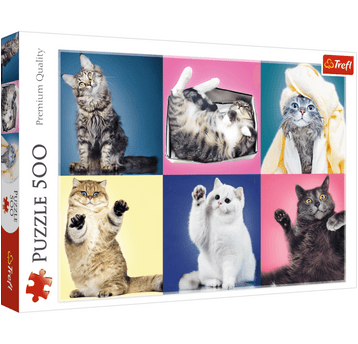 PUZZLE 500 KOCIAKI 37377