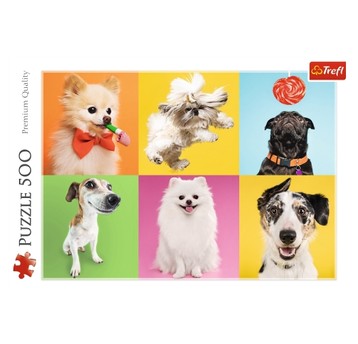PUZZLE 500 PSY 37378