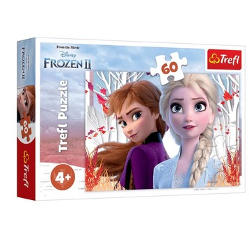 PUZZLE 60 ZACZAROWANY ŚWIAT ANNY I ELSY 17333