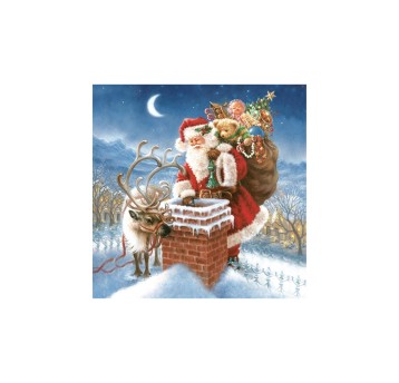 SERWETKI DAISY GWIAZDKA 007801