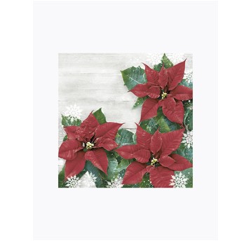SERWETKI DAISY LUNCH 33X33 GWIAZDKA 024401