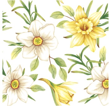 SERWETKI DAISY LUNCH WIOSNA 007601