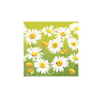 SERWETKI DAISY LUNCH WIOSNA 008902
