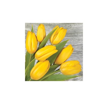 SERWETKI DAISY WIOSNA 004601