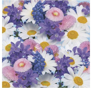 SERWETKI DAISY WIOSNA 004901