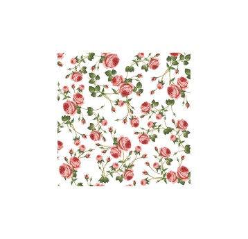 SERWETKI LUNCH OGÓLNE 004801