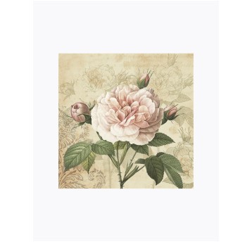 SERWETKI LUNCH OGÓLNE 044801