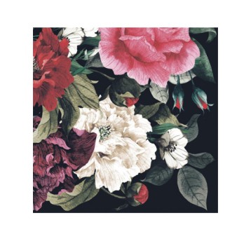 SERWETKI LUNCH OGÓLNE 051701