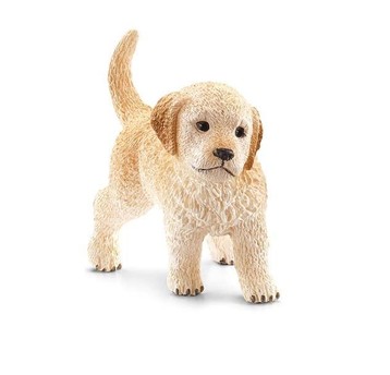 SZCZENIĘ GOLDEN RETRIEVER SLH16396