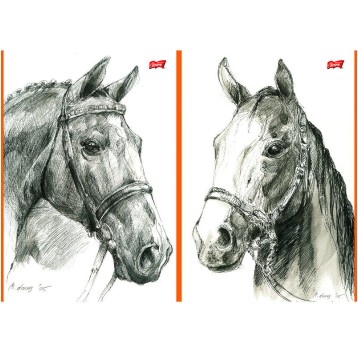 SZKICOWNIK A4/20K KONIE 7002 A"10