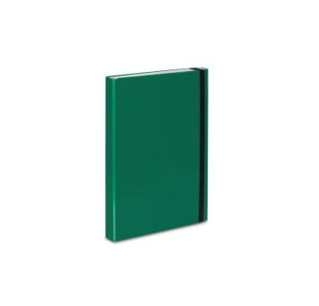 TECZKA BOX Z MECH RINGOWYM - ZIELONA 325/06 5069