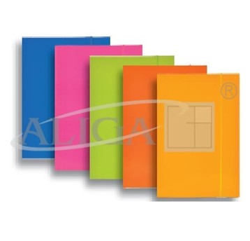 TECZKA KARTONOWA LAKIEROWANA MIX FLUO 4327