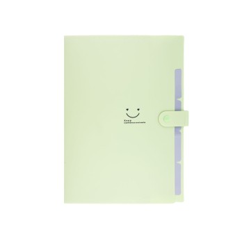 TECZKA PLASTIKOWA A4 Z 5 PRZEGRODKAMI / ZIELONA