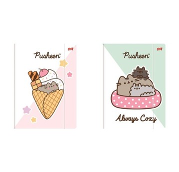 TECZKA Z GUMKĄ A4 300 g/m2 PUSHEEN 3314 A'10