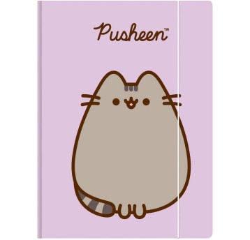TECZKA Z GUMKĄ A4 300 g/m2 PUSHEEN 9544 a'10