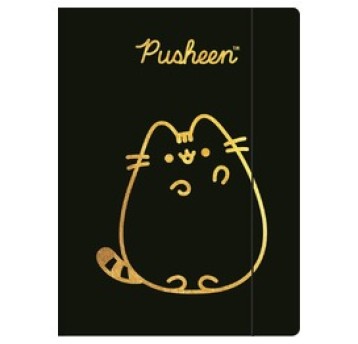 TECZKA Z GUMKĄ A4 300 g/m2 PUSHEEN GOLD 5171 A'10