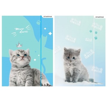 TECZKA Z GUMKA A4 KOTKI A'10 5667