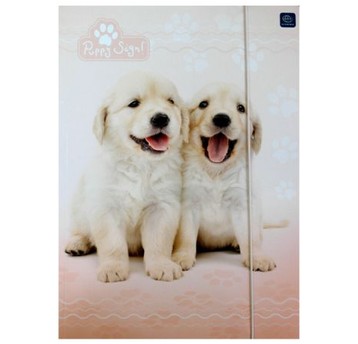 TECZKA Z GUMKĄ A4+ LUX PUPPY SIGN 5406 A"10
