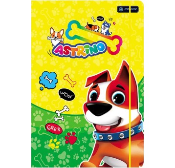 TECZKA Z GUMKĄ ASTRAPAP A4 ASTRINO 1198 A'10