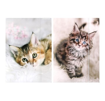 TECZKA Z GUMKA PAP A4 KOTKI STK FOL 9235 A'10