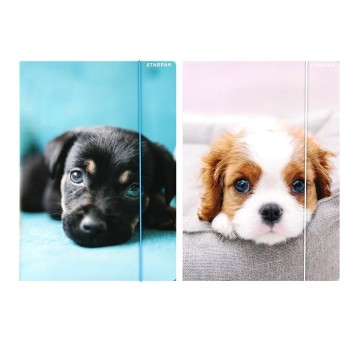 TECZKA Z GUMKA PAP A4 PIESKI STK FOL 9242 A'10