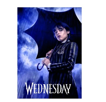 TECZKA Z GUMKĄ WEDNESDAY A4 A'10 5296