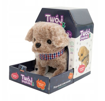 TWÓJ PUPILEK PIESEK 6043