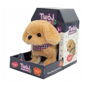 TWÓJ PUPILEK PIESEK 6067