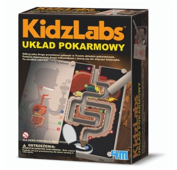 UKŁAD POKARMOWY W3386 3864