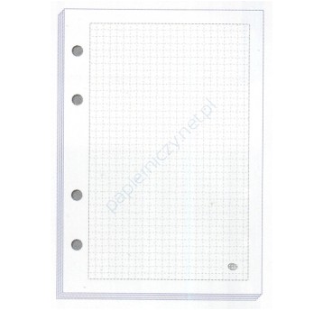 WKŁAD DO SEGREG A4/100 KRATA 6935 A'5