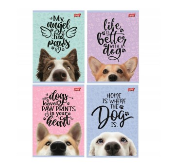 ZESZYT A5/16K LINIA DWUKOLOR LAMIN DOG 5331
