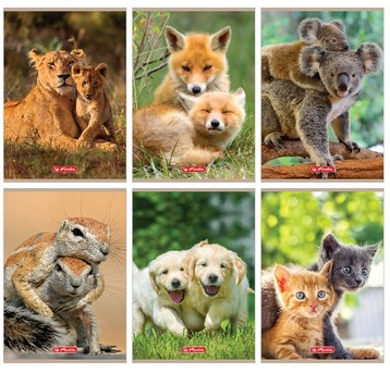 ZESZYT A5/32K LINIA PODWÓJNA KOL ANIMALS 3076 A'10