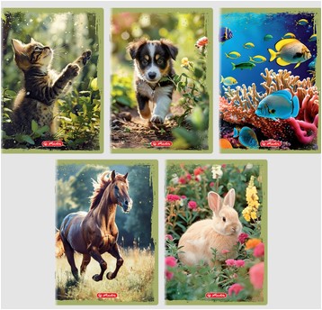 ZESZYT HER ANIMALS A5/16K 70G KR KOL 400196855