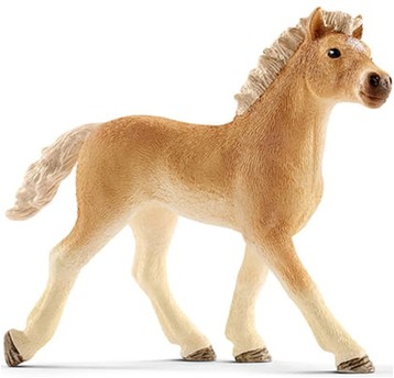 ŹREBIĘ RASY HAFLINGER HORSE CLUB RED 6053